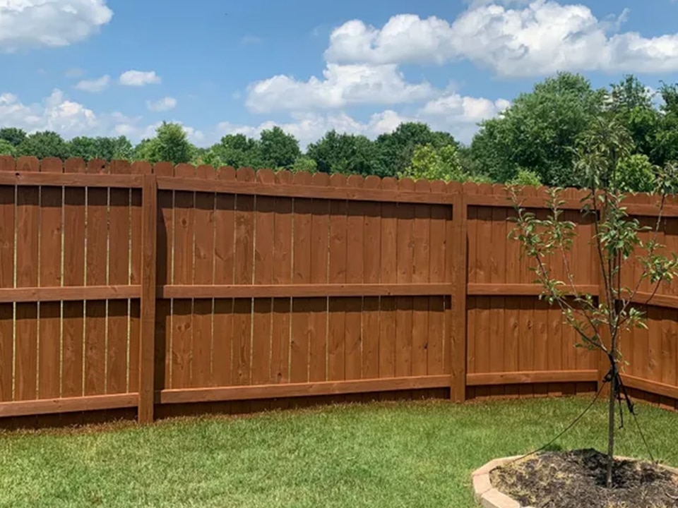 fence staining