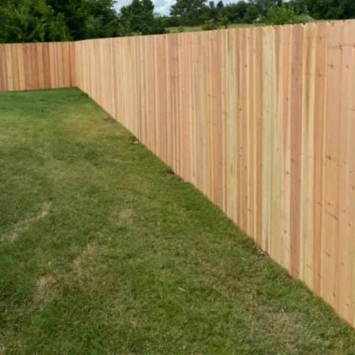 Cedar Fence